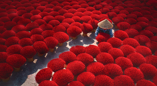 Red Insense