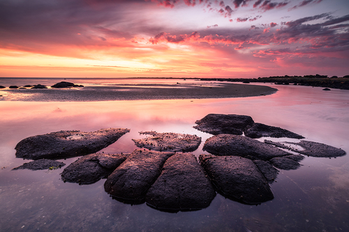 Sunset Harmony