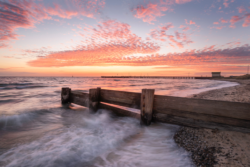 Bellarine Dawn