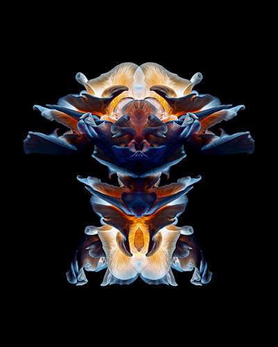 Abstract Nature No.1
