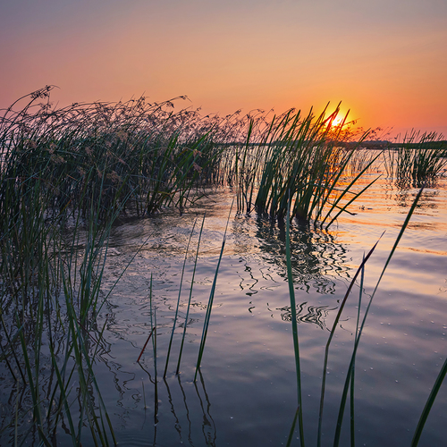 Sunrise at the Lagoon