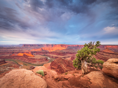 Dead Horse Point