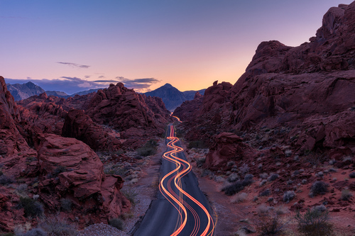 Into the Night