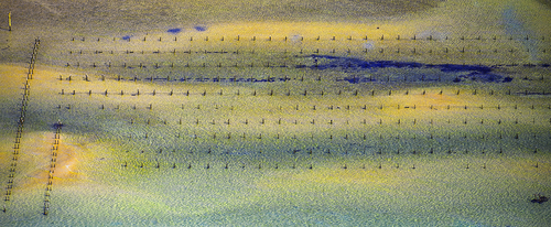 Water Harvest