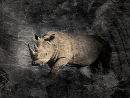 Rhino Tears