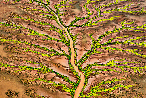 Natures Vessel