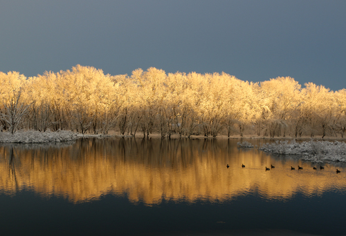 Winter River