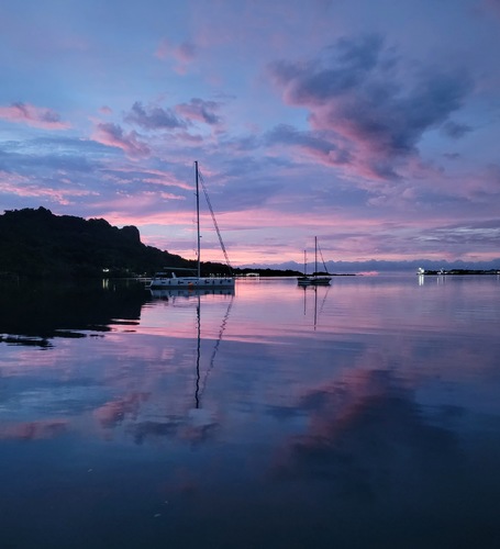 Pohnpei Purple