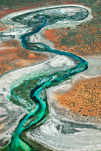 Shark Bay Aerial #11