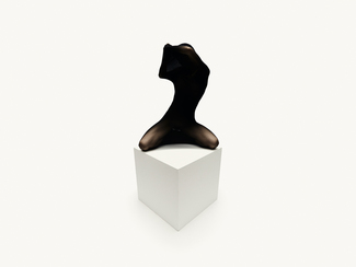 Color Awards Winners and Nominees