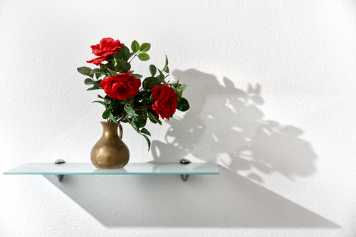 my flowers