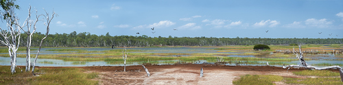 Arnhem Land's Australiana