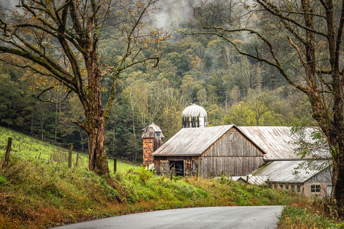 Backroad Beauty