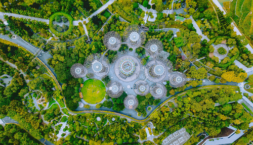 Supertree Grove