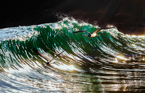 I Surf, You Surf, They Surf