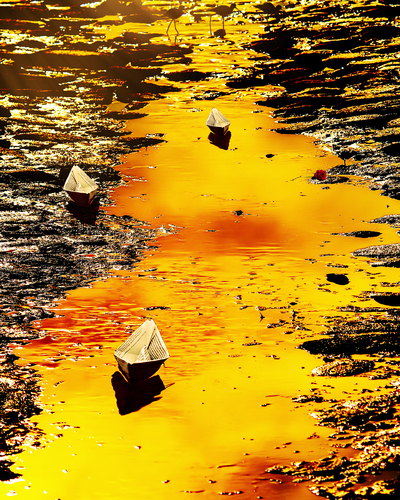 Golden Street of Paraty