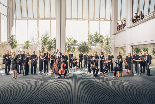 Symphony orchestra