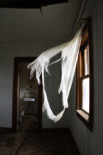 Lace Curtain