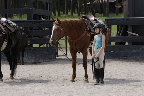 The Riding Lesson