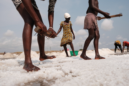 Brave Women: The Struggle for Salt