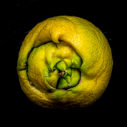 lemon