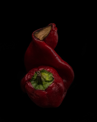 Sweet Pepper 
