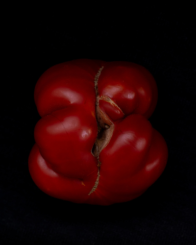 Tomato Brain (from the series "Fallen Fruit")