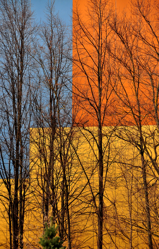 composition 213