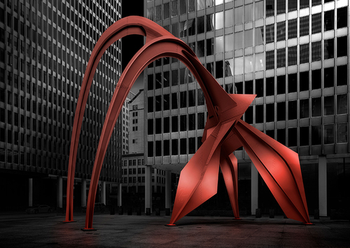 Flamingo