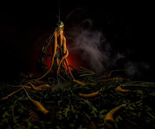 Carnage In The Carrot Patch