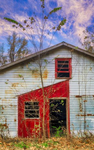 Red Door