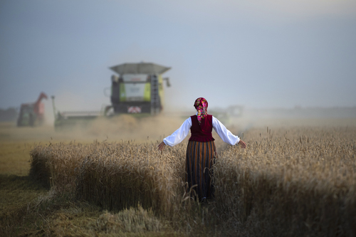 It's harvest time