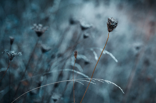 autumn mood