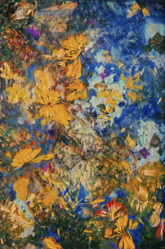 Ikebana