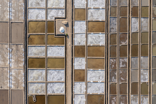 Salt Field