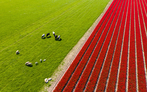 Spring