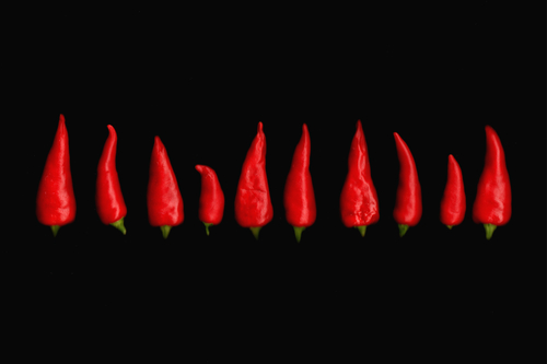 Red Hot Chili