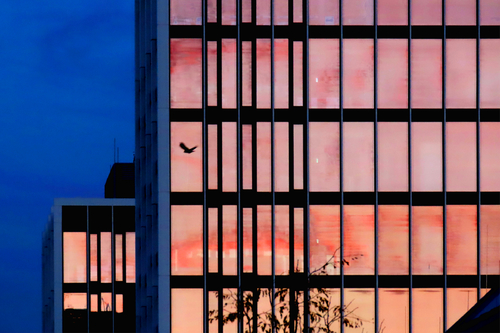 Composition #4