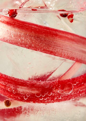 Rhubarb Vodka Soda