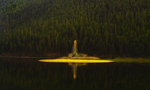 Salmon Lake Ephemeral