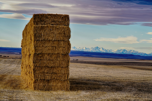 Strawstack #1