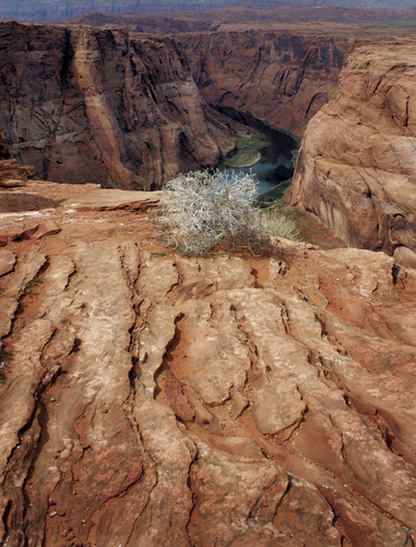 Horseshoe Bend