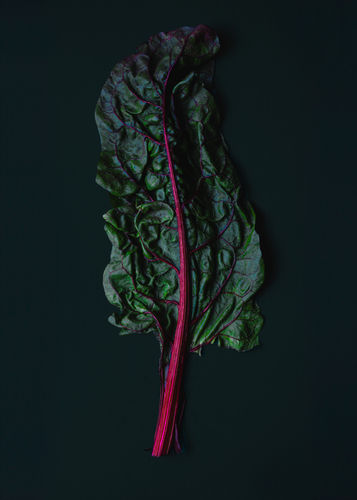 Vegetal curves