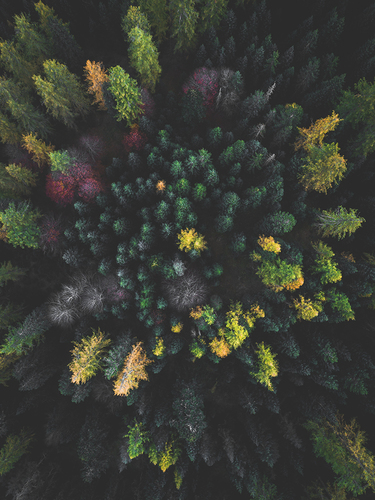 Autumn in the Dolomites