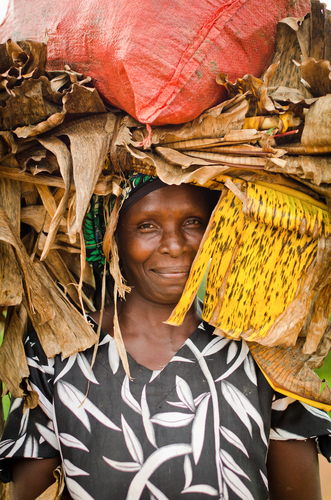 Plantain Leaves