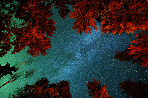 Aroura  By Campfire
