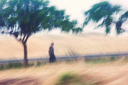 A Dreamy Early Morning