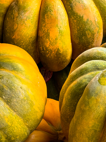 Pumpkin Passions