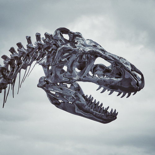 Dinosaur Head