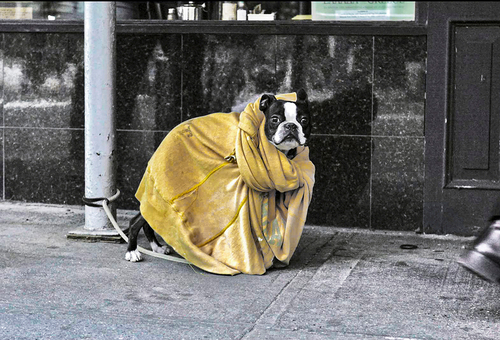 Fashion Week-Madison Avenue, NYC